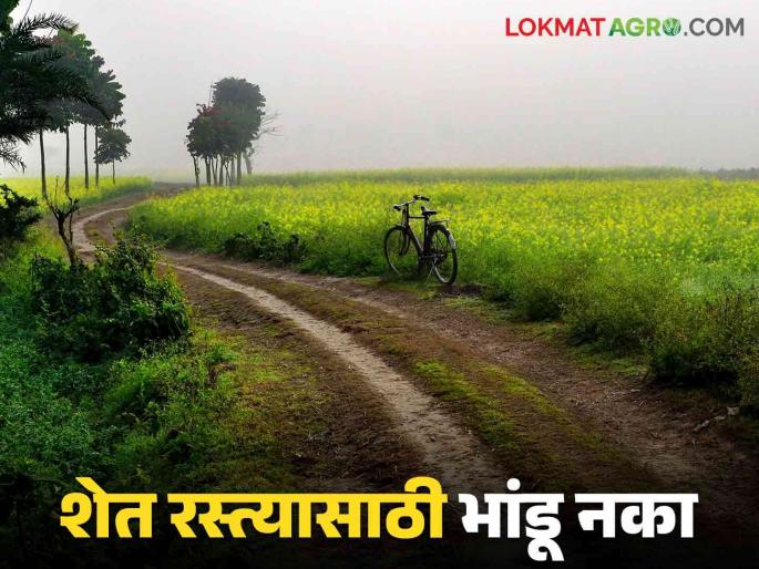 Shet Rasta : farmer get shet rasta to go farm | Shet Rasta : शेतात जाण्याची बिकट वाट झाली सुखकर; काय आहे प्रकरण वाचा सविस्तर
