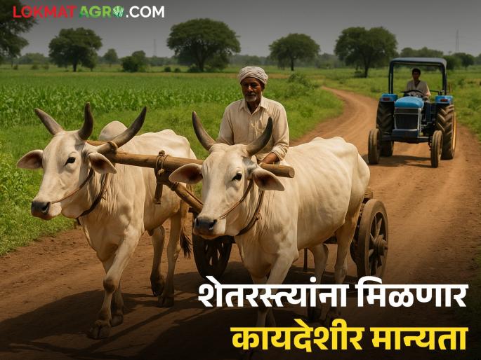 Digital records of farm roads, panand roads, shiv roads will be created; How will farmers benefit? | ग्रामीण शेतरस्ते, पाणंद रस्ते, शिव रस्त्यांचे होणार डिजिटल अभिलेख; शेतकऱ्यांना कसा होणार फायदा? Digital records of farm roads, panand roads, shiv roads will be created; How will farmers benefit? | ग्रामीण शेतरस्ते, पाणंद रस्ते, शिव रस्त्यांचे होणार डिजिटल अभिलेख; शेतकऱ्यांना कसा होणार फायदा?