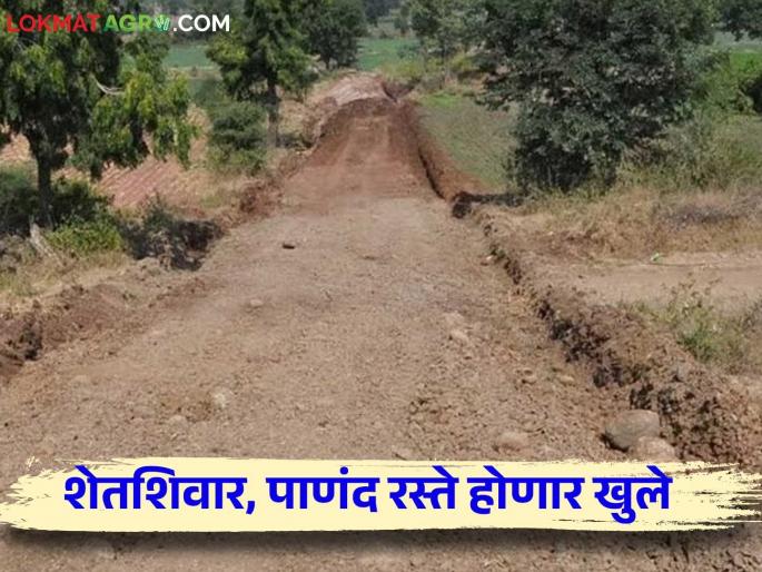 Agriculture News: Closed farm fields, Panand roads will be opened, Nashik District Magistrate's decision | Agriculture News : बंद पडलेले शेतशिवार, पाणंद रस्ते होणार खुले, नाशिक जिल्हाधिकाऱ्यांचा निर्णय  Agriculture News: Closed farm fields, Panand roads will be opened, Nashik District Magistrate's decision | Agriculture News : बंद पडलेले शेतशिवार, पाणंद रस्ते होणार खुले, नाशिक जिल्हाधिकाऱ्यांचा निर्णय