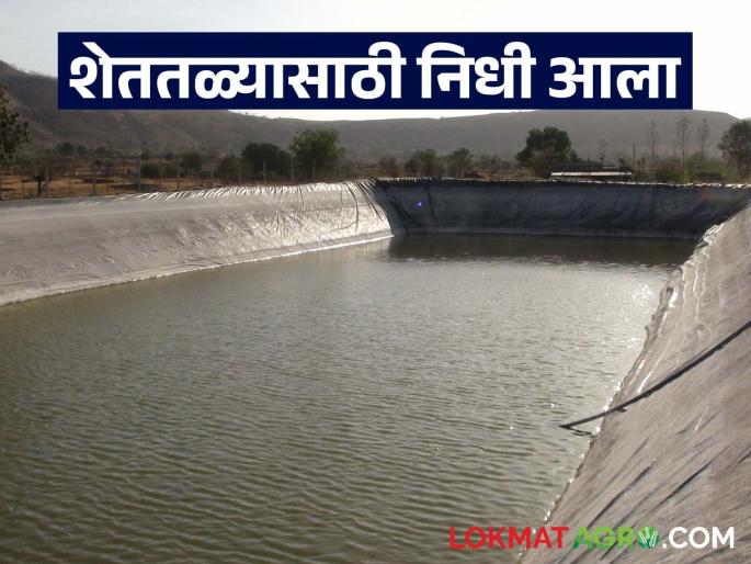 Funds for individual farm ponds from the Chief Minister's Sustainable Agriculture Irrigation Scheme; Government decision issued | मुख्यमंत्री शाश्वत कृषि सिंचन योजनेतून वैयक्तिक शेततळ्यांसाठी निधी आला; शासन निर्णय जारी Funds for individual farm ponds from the Chief Minister's Sustainable Agriculture Irrigation Scheme; Government decision issued | मुख्यमंत्री शाश्वत कृषि सिंचन योजनेतून वैयक्तिक शेततळ्यांसाठी निधी आला; शासन निर्णय जारी