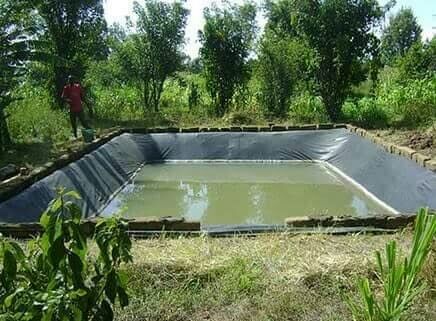 In Washim district, only 752 farmers complete shet tale | वाशिम जिल्ह्यात दोन वर्षात पूर्ण झाले केवळ ७५२ शेततळे! In Washim district, only 752 farmers complete shet tale | वाशिम जिल्ह्यात दोन वर्षात पूर्ण झाले केवळ ७५२ शेततळे!