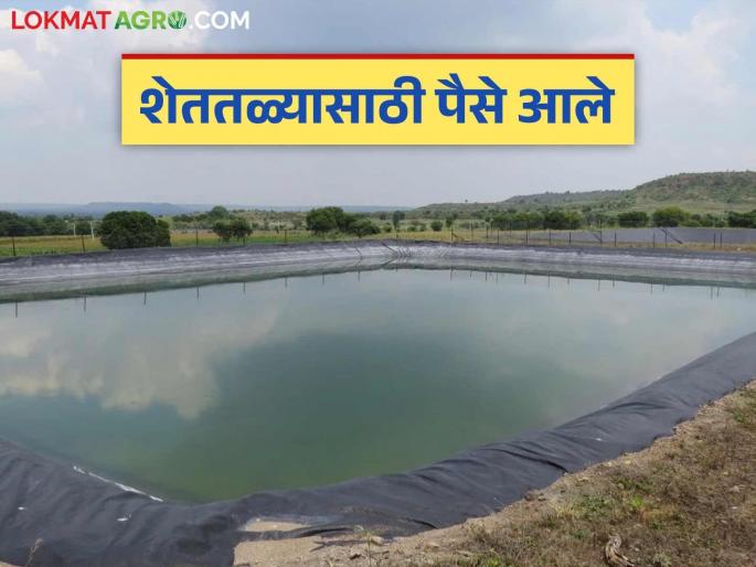 Shet Tale Yojana : Six crores fund for farmers to dig personal farm ponds; New government decision | Shet Tale Yojana : वैयक्तिक शेततळे खोदण्यासाठी शेतकऱ्यांना सहा कोटीचा निधी; आला नवीन शासन निर्णय Shet Tale Yojana : Six crores fund for farmers to dig personal farm ponds; New government decision | Shet Tale Yojana : वैयक्तिक शेततळे खोदण्यासाठी शेतकऱ्यांना सहा कोटीचा निधी; आला नवीन शासन निर्णय