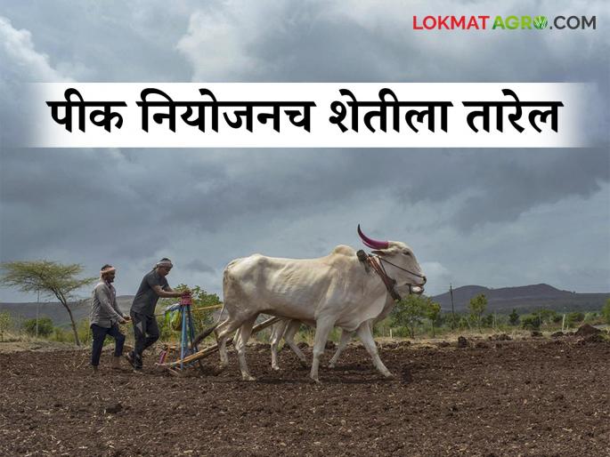 Agriculture is the only business where the producer does not have the right to set the price of his product; will this change? | आपल्या मालाचा भाव ठरविण्याचा अधिकार नसलेला एकमेव व्यवसाय म्हणजे 'शेती'; यात होईल का बदल? Agriculture is the only business where the producer does not have the right to set the price of his product; will this change? | आपल्या मालाचा भाव ठरविण्याचा अधिकार नसलेला एकमेव व्यवसाय म्हणजे 'शेती'; यात होईल का बदल?