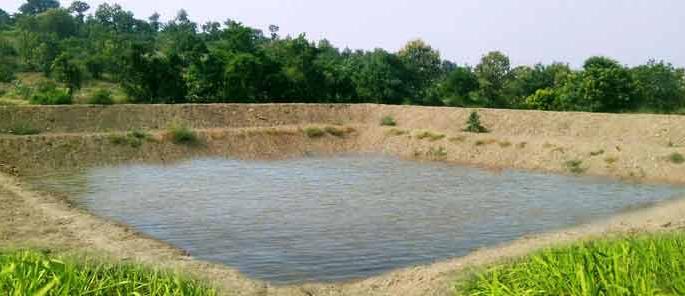 A woman dies in a ditch near a farm in Panchale | पंचाळे येथे शेततळ्यालगत खड्डयात पडून महिलेचा मृत्यू A woman dies in a ditch near a farm in Panchale | पंचाळे येथे शेततळ्यालगत खड्डयात पडून महिलेचा मृत्यू