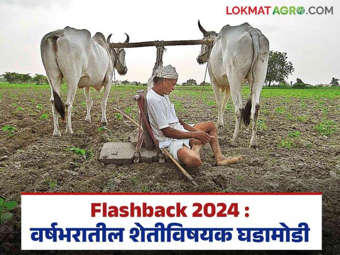 Latest News flashback 2024 major news event in agriculture sector in 2024 see details | Flashback 2024 : कांदा निर्यात बंदी मागे घेण्यापासून किसान आंदोलनापर्यंत, 2024 मध्ये काय-काय घडलं?