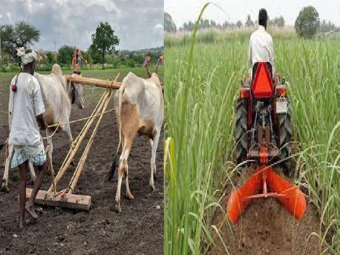 With the increase in seed price along with cultivation, the question for farmers is how to cultivate the land and what to sow | मशागत, बियाणांनी शेतकऱ्यांचे मोडले कंबरडे, यांत्रिकीकरणाबरोबर ‘संकरित वाण’ आलं मुळावर