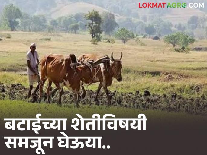 Latest News News sharecropper have legal ownership rights over his farm land Read in detail | आपल्या शेत जमिनीवर बटाईदाराचा कायदेशीर मालकी हक्क असतो का? वाचा सविस्तर