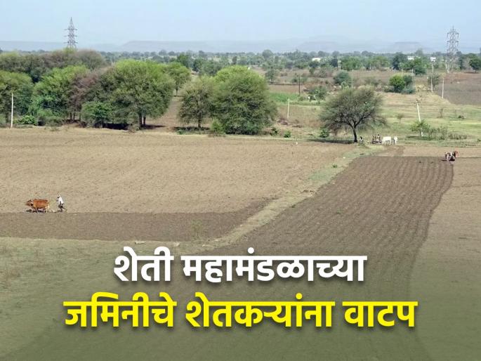 Khandkars will be allotted less than 1 acre of land | खंडकऱ्यांना १ एकरापेक्षा कमी जमिनीचे होणार वाटप Khandkars will be allotted less than 1 acre of land | खंडकऱ्यांना १ एकरापेक्षा कमी जमिनीचे होणार वाटप