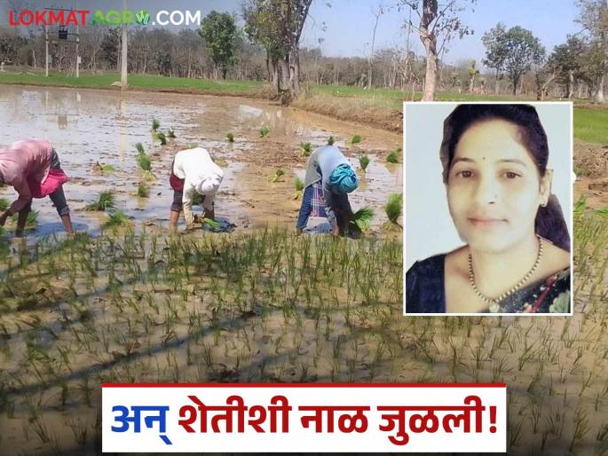 Latest News Womens day woman farmer who successfully took over farm after her husband's death | Womens Day : पतीचा आधार गेला, उमेद न हरता तिने कसली शेती, वाचा सविस्तर  Latest News Womens day woman farmer who successfully took over farm after her husband's death | Womens Day : पतीचा आधार गेला, उमेद न हरता तिने कसली शेती, वाचा सविस्तर