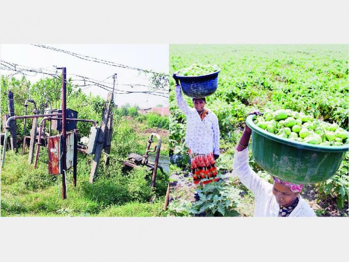 Vegetables grow on the poisonous waters of the Nag river | धक्कादायक... नाग नदीच्या विषयुक्त पाण्यावर पिकतो भाजीपाला; मार्केटमधून जातो प्रत्येकाच्या घरात Vegetables grow on the poisonous waters of the Nag river | धक्कादायक... नाग नदीच्या विषयुक्त पाण्यावर पिकतो भाजीपाला; मार्केटमधून जातो प्रत्येकाच्या घरात