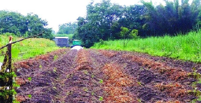 227 breathing empty breathing road! | २२७ रस्ते घेणार मोकळा श्वास! 227 breathing empty breathing road! | २२७ रस्ते घेणार मोकळा श्वास!