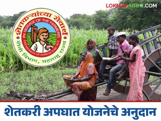 Latest News Shetkari Apghat Yojana Approval for distribution of farmer accident safety grant, read in detail | Shetkari Apghat Yojana : शेतकरी अपघात सुरक्षा सानुग्रह अनुदान वितरणास मान्यता, वाचा सविस्तर  Latest News Shetkari Apghat Yojana Approval for distribution of farmer accident safety grant, read in detail | Shetkari Apghat Yojana : शेतकरी अपघात सुरक्षा सानुग्रह अनुदान वितरणास मान्यता, वाचा सविस्तर