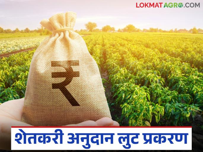 latest news Anudan Vatap Ghotala: Government's strict stance: Senior officials on radar in grant loot case Read in detail | Anudan Vatap Ghotala : शासनाची कडक भूमिका: अनुदान लुट प्रकरणी वरिष्ठ अधिकारी रडारवर! वाचा सविस्तर