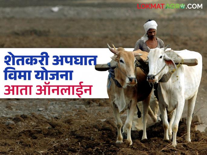 The format of the Farmers Accident Insurance Scheme has changed; now online assistance will be available for 'these' components | शेतकरी अपघात विमा योजनेचे स्वरूप बदलले; आता 'या' घटकांसाठी मिळणार ऑनलाईन मदत The format of the Farmers Accident Insurance Scheme has changed; now online assistance will be available for 'these' components | शेतकरी अपघात विमा योजनेचे स्वरूप बदलले; आता 'या' घटकांसाठी मिळणार ऑनलाईन मदत