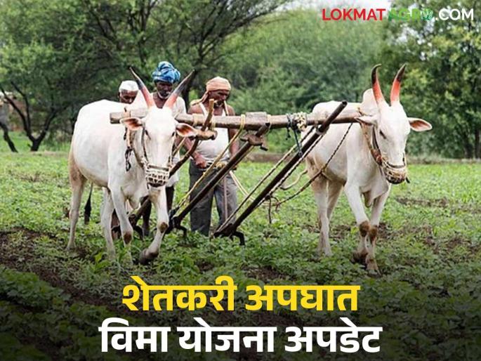 Changes in Farmers' Accident Insurance Scheme; Now accident-affected families will get immediate assistance | शेतकरी अपघात विमा योजनेत बदल; आता अपघातग्रस्त कुटुंबाला मिळणार तत्काळ मदत Changes in Farmers' Accident Insurance Scheme; Now accident-affected families will get immediate assistance | शेतकरी अपघात विमा योजनेत बदल; आता अपघातग्रस्त कुटुंबाला मिळणार तत्काळ मदत