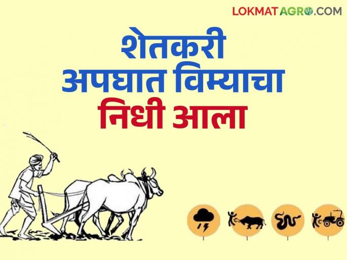 Fund of Rs 40 crore approved for farmers accident subsidy scheme; Farmers' heirs will get money | शेतकरी अपघात अनुदान योजनेसाठी ४० कोटी रुपयांचा निधी मंजूर; वारसांना मिळणार पैसे Fund of Rs 40 crore approved for farmers accident subsidy scheme; Farmers' heirs will get money | शेतकरी अपघात अनुदान योजनेसाठी ४० कोटी रुपयांचा निधी मंजूर; वारसांना मिळणार पैसे