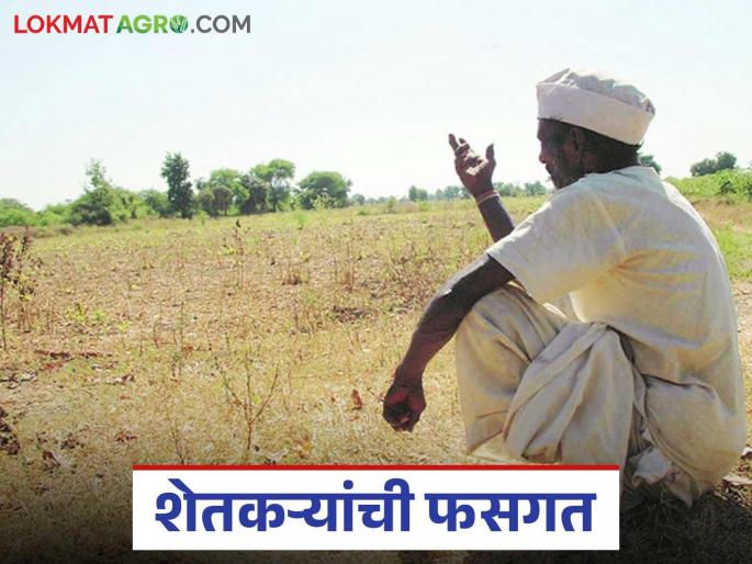 Shetkari Karj Mafi: Farmers forgot about loan waiver, now they miss out on interest waiver | Shetkari Karj Mafi: शेतकरी कर्जमाफीला भुल्ले आता व्याजमाफीला मुकले वाचा सविस्तर