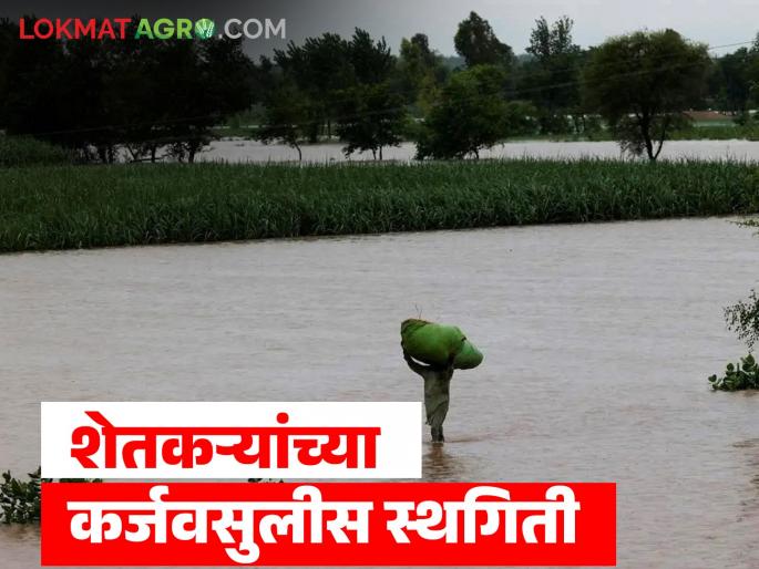 Relief for farmers affected by heavy rains; Government takes 'this' important decision regarding loan recovery | अतिवृष्टीग्रस्त शेतकऱ्यांना दिलासा; कर्जवसुली संदर्भात शासनाने घेतला 'हा' महत्वपूर्ण निर्णय Relief for farmers affected by heavy rains; Government takes 'this' important decision regarding loan recovery | अतिवृष्टीग्रस्त शेतकऱ्यांना दिलासा; कर्जवसुली संदर्भात शासनाने घेतला 'हा' महत्वपूर्ण निर्णय