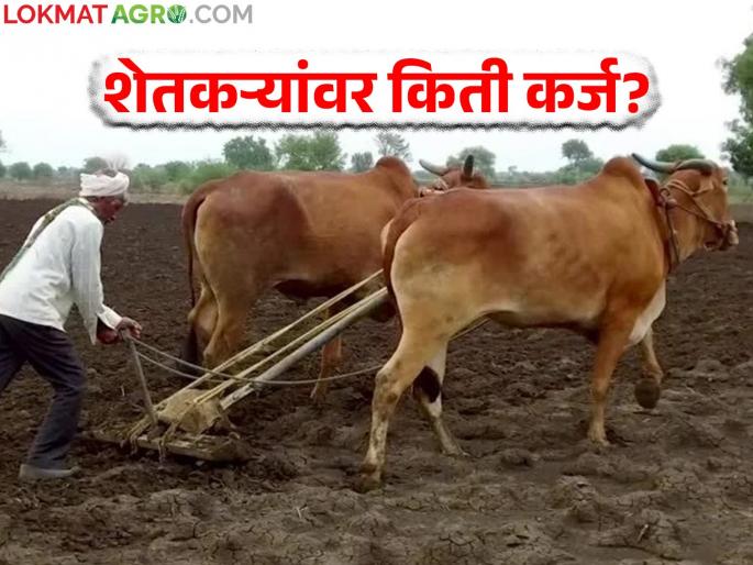 The most indebted farmers are in Maharashtra; How much loan from which bank? Know in detail | सर्वाधिक कर्जबाजारी शेतकरी महाराष्ट्रातच; कोणत्या बँकेचे किती कर्ज? जाणून घ्या सविस्तर
