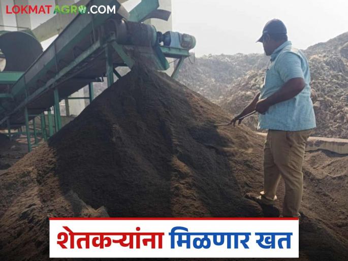 Fertilizer Production: Municipal Corporation is producing fertilizer for farmers; Samples sent to Agricultural University read in details | Fertilizer Production : शेतकऱ्यांसाठी महापालिका करतेय खतनिर्मिती; नमुने कृषी विद्यापीठाकडे पाठवले वाचा सविस्तर Fertilizer Production: Municipal Corporation is producing fertilizer for farmers; Samples sent to Agricultural University read in details | Fertilizer Production : शेतकऱ्यांसाठी महापालिका करतेय खतनिर्मिती; नमुने कृषी विद्यापीठाकडे पाठवले वाचा सविस्तर