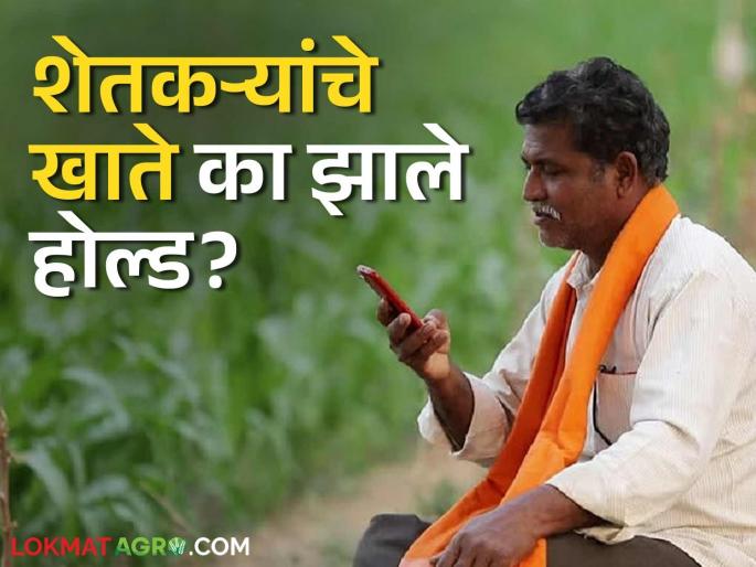 Crop Loan : latest news Farmers' bank accounts were frozen due to 'this' reason Read in detail | Crop Loan: 'या' कारणामुळे शेतकऱ्यांचे बँक खातेच गोठवले जाणून घ्या सविस्तर Crop Loan : latest news Farmers' bank accounts were frozen due to 'this' reason Read in detail | Crop Loan: 'या' कारणामुळे शेतकऱ्यांचे बँक खातेच गोठवले जाणून घ्या सविस्तर