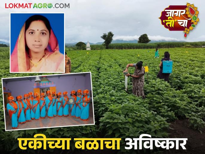 The fields flourished under her leadership; Smitatai's group achieved strong performance in the highest crop production | 'ती'च्या नेतृत्वातून फुलले शेत शिवार; सर्वोच्च पिक उत्पादनात स्मिताताईंच्या गटाची कामगिरी दमदार The fields flourished under her leadership; Smitatai's group achieved strong performance in the highest crop production | 'ती'च्या नेतृत्वातून फुलले शेत शिवार; सर्वोच्च पिक उत्पादनात स्मिताताईंच्या गटाची कामगिरी दमदार