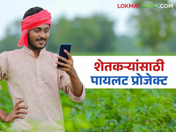 Pilot project for farmers: Pilot project for farmers; Will improve the standard of living of farmers through income increase and marketing | Pilot project for farmers : शेतकऱ्यांसाठी पायलट प्रोजेक्ट; उत्पन्नवाढ ते मार्केटिंगद्वारे शेतकऱ्यांचे जीवनमान उंचावणार Pilot project for farmers: Pilot project for farmers; Will improve the standard of living of farmers through income increase and marketing | Pilot project for farmers : शेतकऱ्यांसाठी पायलट प्रोजेक्ट; उत्पन्नवाढ ते मार्केटिंगद्वारे शेतकऱ्यांचे जीवनमान उंचावणार