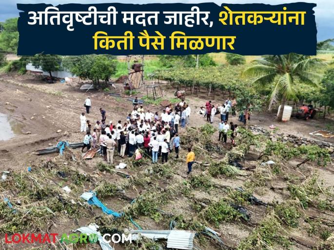 Latest News Heavy rains in maharashtra damage agriculture, houses, government announces help | शेतं गेलं, घर गेलं, काहीच उरलं नाही, अन् सरकार शेतकऱ्याला 7 हजार रुपये देणार Latest News Heavy rains in maharashtra damage agriculture, houses, government announces help | शेतं गेलं, घर गेलं, काहीच उरलं नाही, अन् सरकार शेतकऱ्याला 7 हजार रुपये देणार