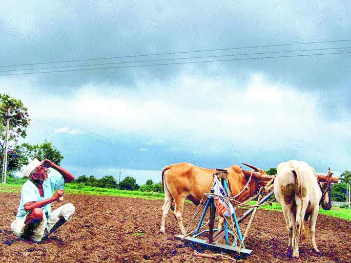 Thane: Thirty-two-year-old forced to pay Rs 28 crores 58 lakhs 13 thousand 9 02 to 3225 farmers in Palghar district | कर्जमाफीसाठी ठाणे - पालघर जिल्ह्यातील ३२२५ शेतकऱ्यांना २८ कोटी ५८ लाख १३ हजार ९०२ रूपये भरण्याची सक्ती Thane: Thirty-two-year-old forced to pay Rs 28 crores 58 lakhs 13 thousand 9 02 to 3225 farmers in Palghar district | कर्जमाफीसाठी ठाणे - पालघर जिल्ह्यातील ३२२५ शेतकऱ्यांना २८ कोटी ५८ लाख १३ हजार ९०२ रूपये भरण्याची सक्ती