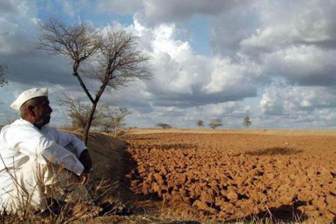 Beneficiaries of Krishi Samman Yojana will fetch lakhs of farmers in Solapur district! | सोलापूर जिल्ह्यातील सव्वापाच लाख शेतकºयांना मिळणार कृषी सन्मान योजनेचा लाभ ! Beneficiaries of Krishi Samman Yojana will fetch lakhs of farmers in Solapur district! | सोलापूर जिल्ह्यातील सव्वापाच लाख शेतकºयांना मिळणार कृषी सन्मान योजनेचा लाभ !