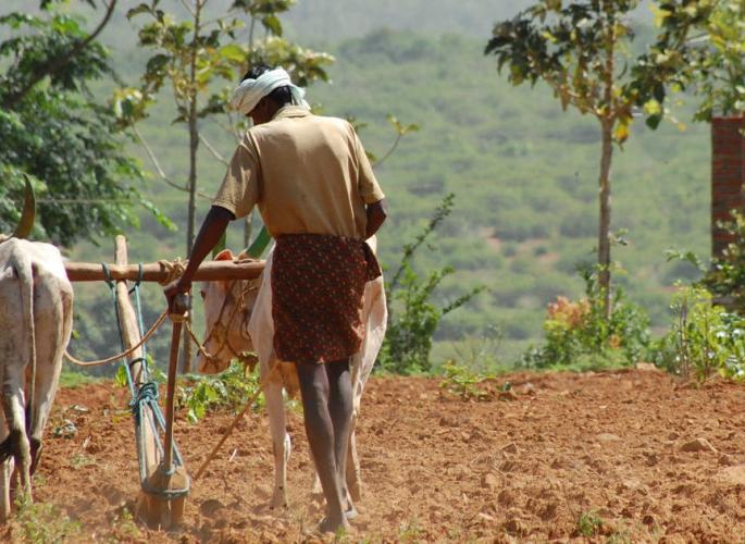 The economic math of the farmers collapsed | शेतकऱ्यांचे आर्थिक गणित कोलमडले The economic math of the farmers collapsed | शेतकऱ्यांचे आर्थिक गणित कोलमडले