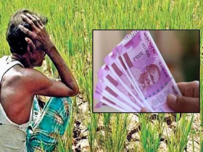 6 lakh farmers missed out on loan waiver, around 1.25 lakh farmers of suicide-prone Yavatmal district were hanged on the red list | सहा लाख शेतकरी कर्जमाफीला मुकले; ५९०० कोटी मिळालेच नाही 6 lakh farmers missed out on loan waiver, around 1.25 lakh farmers of suicide-prone Yavatmal district were hanged on the red list | सहा लाख शेतकरी कर्जमाफीला मुकले; ५९०० कोटी मिळालेच नाही