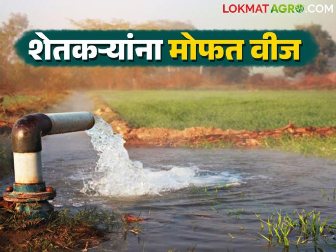 80 percent of farmers in the state will be provided with free electricity for 12 hours a year | राज्यातील ८० टक्के शेतकऱ्यांना वर्षभर १२ तास मोफत वीज उपलब्ध होणार 80 percent of farmers in the state will be provided with free electricity for 12 hours a year | राज्यातील ८० टक्के शेतकऱ्यांना वर्षभर १२ तास मोफत वीज उपलब्ध होणार