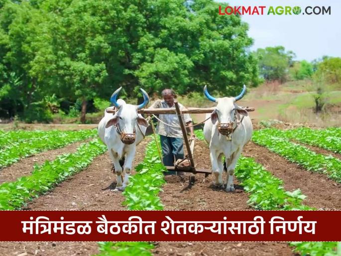 Latest News extension of electricity tariff concession scheme, decision in cabinet meeting | शेतकऱ्यांना मोठा दिलासा, वीजदर सवलत योजनेस मुदतवाढ, मंत्रिमंडळ बैठकीत निर्णय  Latest News extension of electricity tariff concession scheme, decision in cabinet meeting | शेतकऱ्यांना मोठा दिलासा, वीजदर सवलत योजनेस मुदतवाढ, मंत्रिमंडळ बैठकीत निर्णय