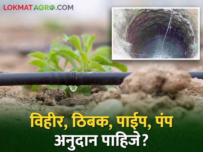 Shetkari Yojana: Farmers.. Apply for these schemes and you will get subsidy of up to two and a half lakhs | Shetkari Yojana शेतकऱ्यांनो.. ह्या योजनांसाठी करा अर्ज मिळेल अडीच लाखांपर्यंतचे अनुदान Shetkari Yojana: Farmers.. Apply for these schemes and you will get subsidy of up to two and a half lakhs | Shetkari Yojana शेतकऱ्यांनो.. ह्या योजनांसाठी करा अर्ज मिळेल अडीच लाखांपर्यंतचे अनुदान