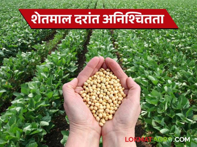 Soybean Market Update: latest news The guaranteed price of soybean is a dream; the question is whether to sow soybean in Kharif or not | Soybean Market Update: सोयाबीनचा हमीभाव स्वप्नवत; खरिपात सोयाबीन पेरावे की नाही हा प्रश्न Soybean Market Update: latest news The guaranteed price of soybean is a dream; the question is whether to sow soybean in Kharif or not | Soybean Market Update: सोयाबीनचा हमीभाव स्वप्नवत; खरिपात सोयाबीन पेरावे की नाही हा प्रश्न