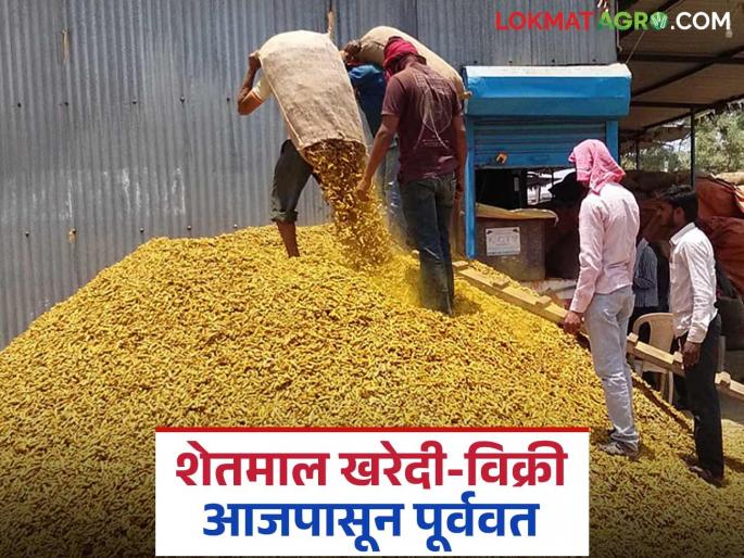 Market Yard: latest news Agricultural goods purchase and sale transactions, which were closed due to 'March End', will be restored from today | Market Yard: 'मार्चएण्ड'मुळे बंद ठेवलेले शेतमाल खरेदी विक्रीचे व्यवहार आजपासून होणार पूर्ववत Market Yard: latest news Agricultural goods purchase and sale transactions, which were closed due to 'March End', will be restored from today | Market Yard: 'मार्चएण्ड'मुळे बंद ठेवलेले शेतमाल खरेदी विक्रीचे व्यवहार आजपासून होणार पूर्ववत
