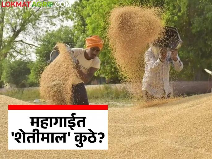 latest news ShetMal: Need a new definition of inflation? Education, health, housing are expensive; why are agricultural products cheap? Read in detail | ShetMal : महागाईची नवी व्याख्या हवी? शिक्षण, आरोग्य, घरं महाग; शेतमाल स्वस्त का? वाचा सविस्तर