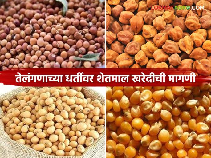 latest news Agriculture News: On the lines of Telangana, purchase farmers' agricultural produce at the village level at a guaranteed price | Agriculture News : तेलंगणाच्या धर्तीवर शेतकऱ्यांचा शेतमाल हमीभावाने गावपातळीवर खरेदी करा latest news Agriculture News: On the lines of Telangana, purchase farmers' agricultural produce at the village level at a guaranteed price | Agriculture News : तेलंगणाच्या धर्तीवर शेतकऱ्यांचा शेतमाल हमीभावाने गावपातळीवर खरेदी करा