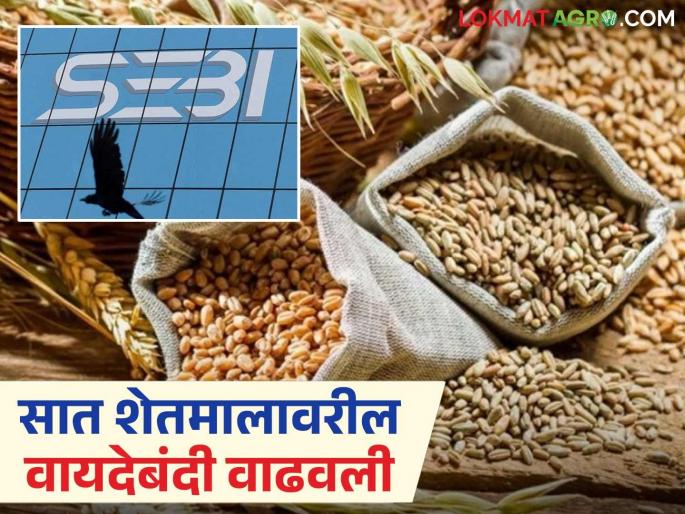 Latest news vayde Bajar moratorium on these seven agricultural commodities has been extended until 2026 by sebi know the details. | Vayde Bajar Ban : 'या' सात शेतमालावरील वायदेबंदी 2026 पर्यंत वाढवली, जाणून घ्या सविस्तर Latest news vayde Bajar moratorium on these seven agricultural commodities has been extended until 2026 by sebi know the details. | Vayde Bajar Ban : 'या' सात शेतमालावरील वायदेबंदी 2026 पर्यंत वाढवली, जाणून घ्या सविस्तर