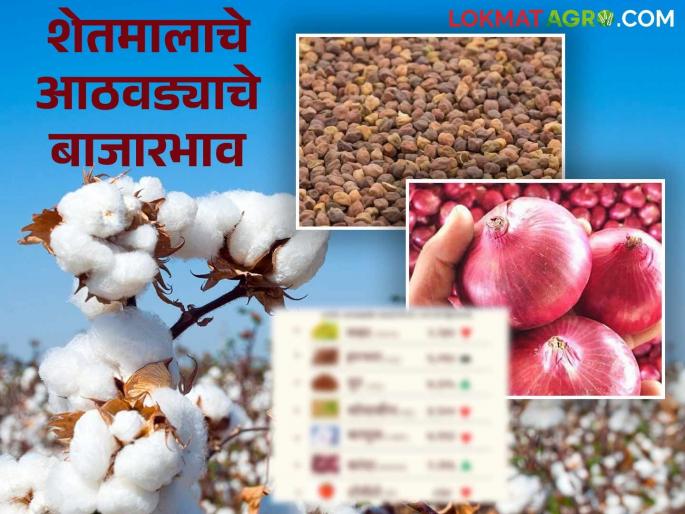 Latest News Market yard Update see tur, soybean, cotton, and onion markets fare last week Read in detail | Agriculture News : मागील आठवड्यात तूर, सोयाबीन, कापूस, कांदा बाजार कसे राहिले? वाचा सविस्तर