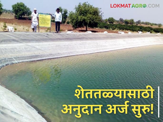 Shet tale Anudan: Applying for grant for Shettale scheme; Be sure to read 'these' things | Shet tale Anudan : शेततळे योजनेसाठी अनुदान अर्ज करताय; 'या' गोष्टी नक्की वाचा Shet tale Anudan: Applying for grant for Shettale scheme; Be sure to read 'these' things | Shet tale Anudan : शेततळे योजनेसाठी अनुदान अर्ज करताय; 'या' गोष्टी नक्की वाचा