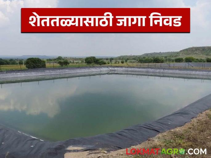 Latest News Shet tale What to keep in mind while choosing a place for farm pond | Shet tale : शेततळे बांधायचे असेल तर, जागा कशी असायला हवी? जाणून घ्या सविस्तर 