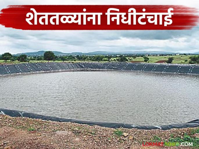 Latest News Shettale Yojana Zero percent funds distributed for the individual farm pond scheme. | यंदा शेततळ्याच्या निधीतील एकही रुपया खर्च केलेला नाही, सरकारनेच दिली कबुली Latest News Shettale Yojana Zero percent funds distributed for the individual farm pond scheme. | यंदा शेततळ्याच्या निधीतील एकही रुपया खर्च केलेला नाही, सरकारनेच दिली कबुली