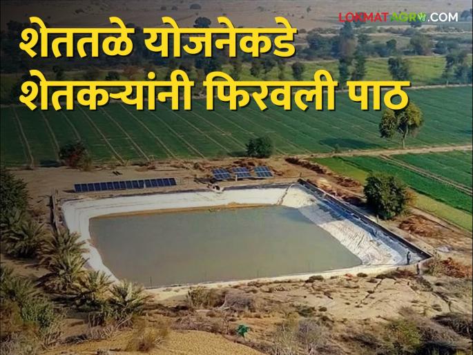 Sir, inflation increased; How can a farm pond be made for a quarter of a million? | साहेब, महागाई वाढली; पाऊण लाखात शेततळे होईल तरी कसे? Sir, inflation increased; How can a farm pond be made for a quarter of a million? | साहेब, महागाई वाढली; पाऊण लाखात शेततळे होईल तरी कसे?