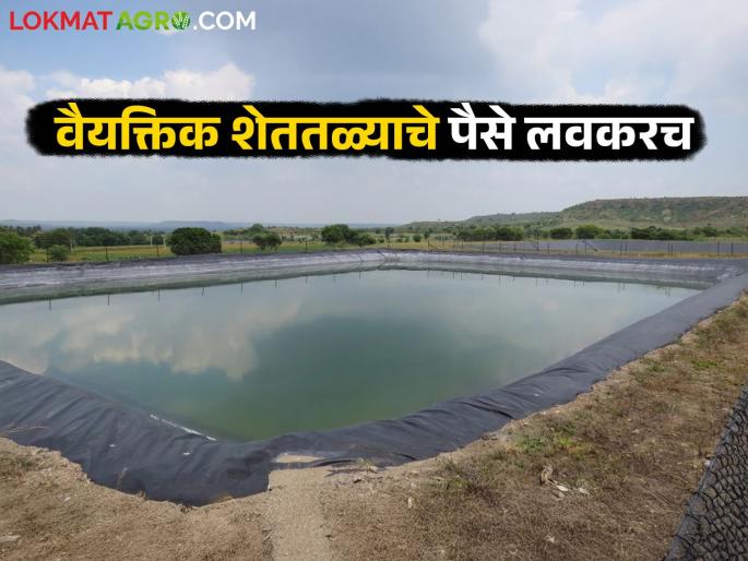 Shettale Yojana : Huge funds approved for individual farm ponds under Chief Minister's Sustainable Agriculture Irrigation Scheme | Shettale Yojana : मुख्यमंत्री शाश्वत कृषि सिंचन योजनेंतर्गत वैयक्तिक शेततळ्यांसाठी मोठा निधी मंजूर Shettale Yojana : Huge funds approved for individual farm ponds under Chief Minister's Sustainable Agriculture Irrigation Scheme | Shettale Yojana : मुख्यमंत्री शाश्वत कृषि सिंचन योजनेंतर्गत वैयक्तिक शेततळ्यांसाठी मोठा निधी मंजूर