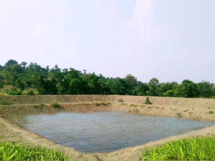 officials themselves shut down 'Magel Tyala Shettale' scheme; 33 lakh funds from Vidarbha, Marathwada were returned | कास्तकारांचे तळे कंत्राटदार घेऊन पळे; विदर्भ, मराठवाड्यातील ३३ लाखांचा निधी गेला परत officials themselves shut down 'Magel Tyala Shettale' scheme; 33 lakh funds from Vidarbha, Marathwada were returned | कास्तकारांचे तळे कंत्राटदार घेऊन पळे; विदर्भ, मराठवाड्यातील ३३ लाखांचा निधी गेला परत