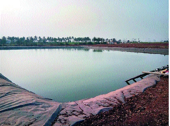 Agricultural Development Research Station, Raiyat Shikshan Sanstha, will be organized at Rookie: Farmers of the district will be given Agriculture Tourism, Guidance Centers | रुकडी येथे होणार कृषी विकास-संशोधन केंद्र रयत शिक्षण संस्थेचा प्रकल्प : जिल्ह्यातील शेतकºयांना येथे कृषी पर्यटन, मार्गदर्शन केंद् Agricultural Development Research Station, Raiyat Shikshan Sanstha, will be organized at Rookie: Farmers of the district will be given Agriculture Tourism, Guidance Centers | रुकडी येथे होणार कृषी विकास-संशोधन केंद्र रयत शिक्षण संस्थेचा प्रकल्प : जिल्ह्यातील शेतकºयांना येथे कृषी पर्यटन, मार्गदर्शन केंद्