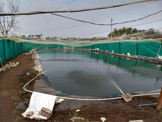 'Come to the farmland' in the Palas taluka! | ‘मागेल त्याला शेततळे’ पलूस तालुक्यात मिळेना! 'Come to the farmland' in the Palas taluka! | ‘मागेल त्याला शेततळे’ पलूस तालुक्यात मिळेना!