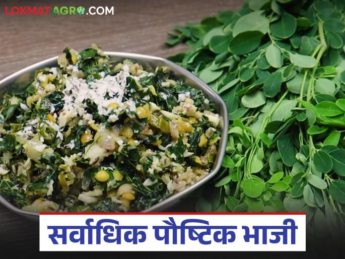 Have you eaten this vegetable that has 4 times the calcium of milk and can cure 300 diseases? | दुधाच्या ४ पट कॅल्शियम असणारी अन् ३०० विकारांवर मात करणारी 'ही' भाजी खाल्लीय का? Have you eaten this vegetable that has 4 times the calcium of milk and can cure 300 diseases? | दुधाच्या ४ पट कॅल्शियम असणारी अन् ३०० विकारांवर मात करणारी 'ही' भाजी खाल्लीय का?